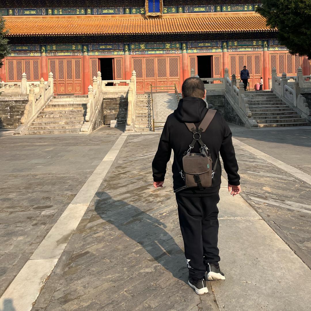 人工心脏，大振、