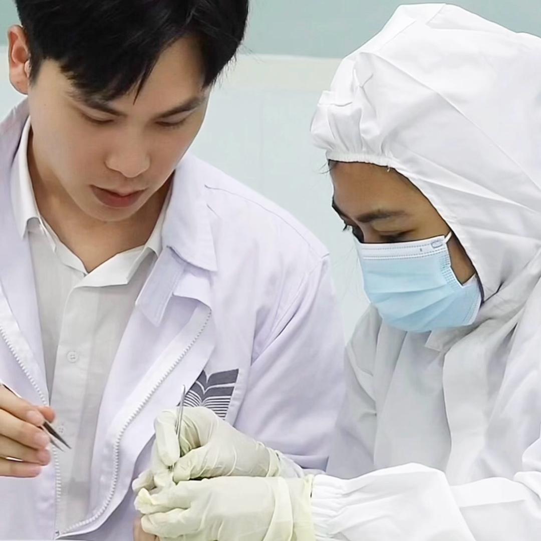 华滋 | 燕窝工厂