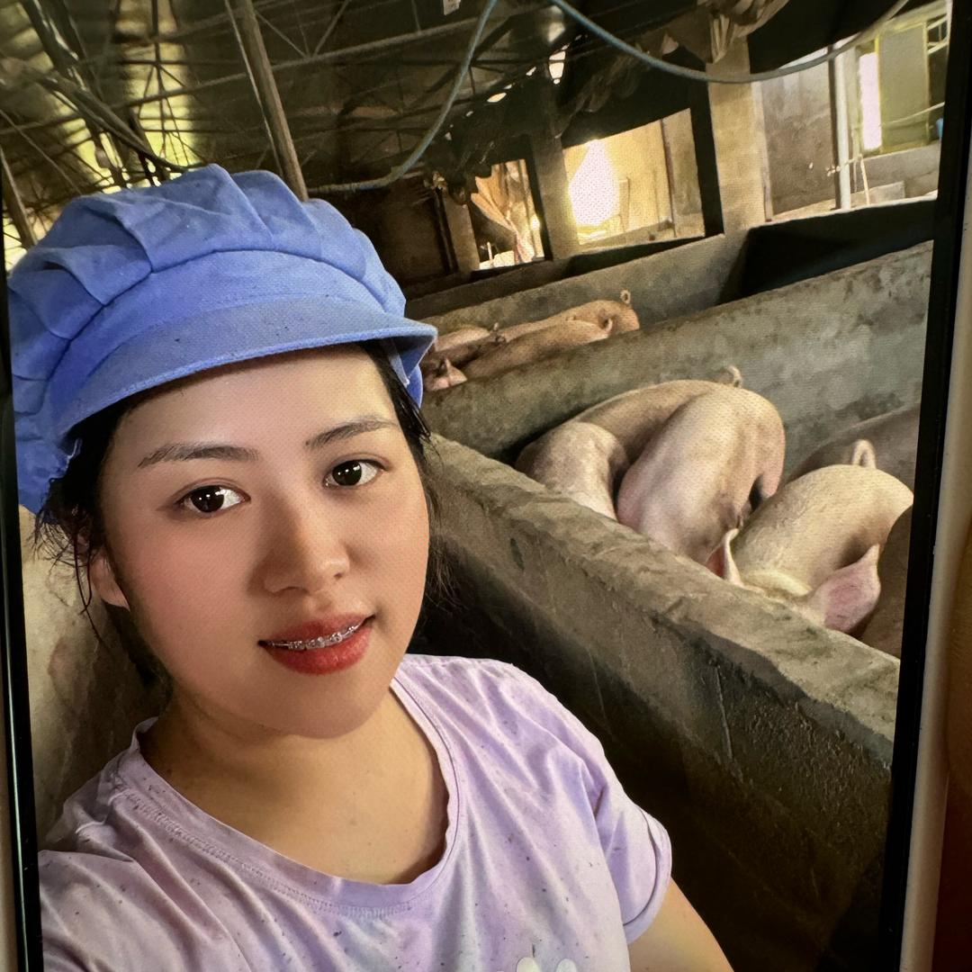 燕儿谈养猪小号