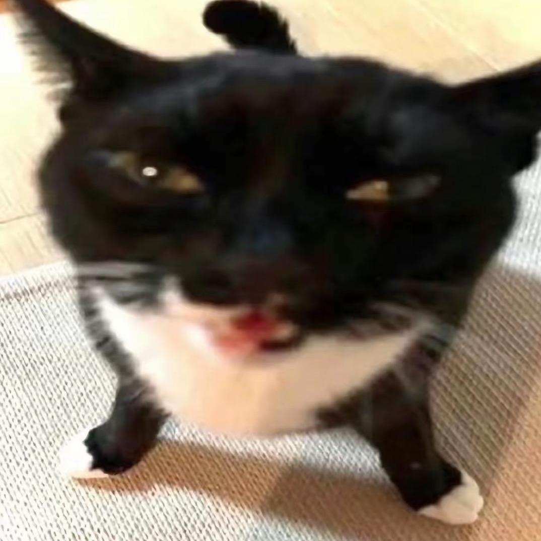 阿什