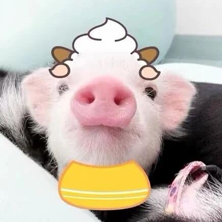 被同一个人甩三次朋友骂我是舔狗