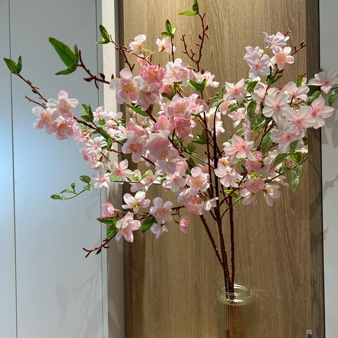 Eline的家（软装中）