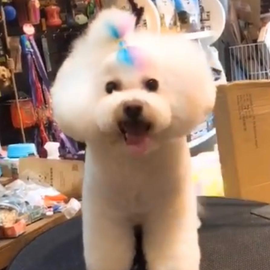 是姐姐呀
