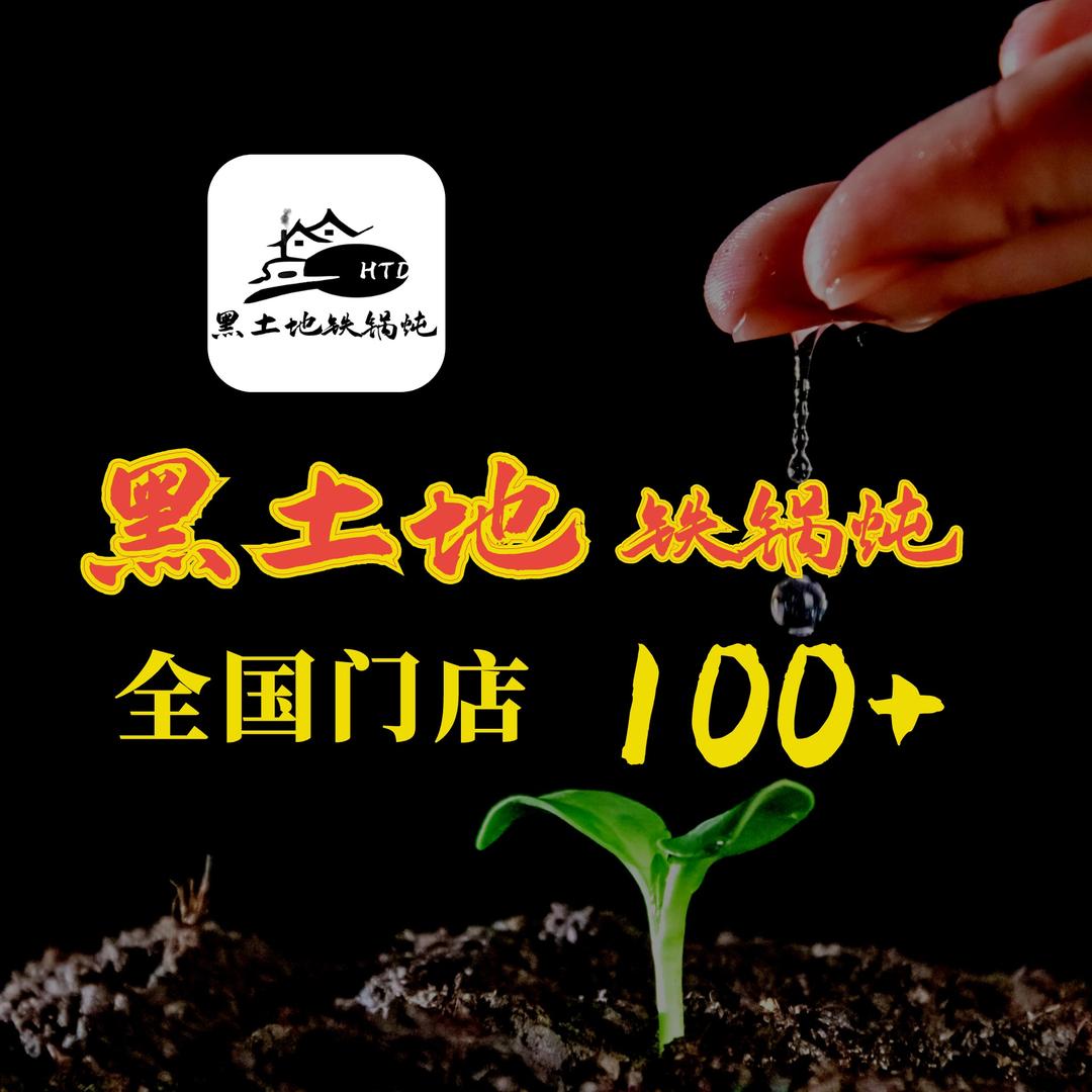 二敏的东北铁锅炖