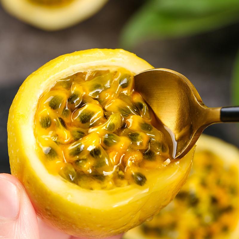 农小担水果基地