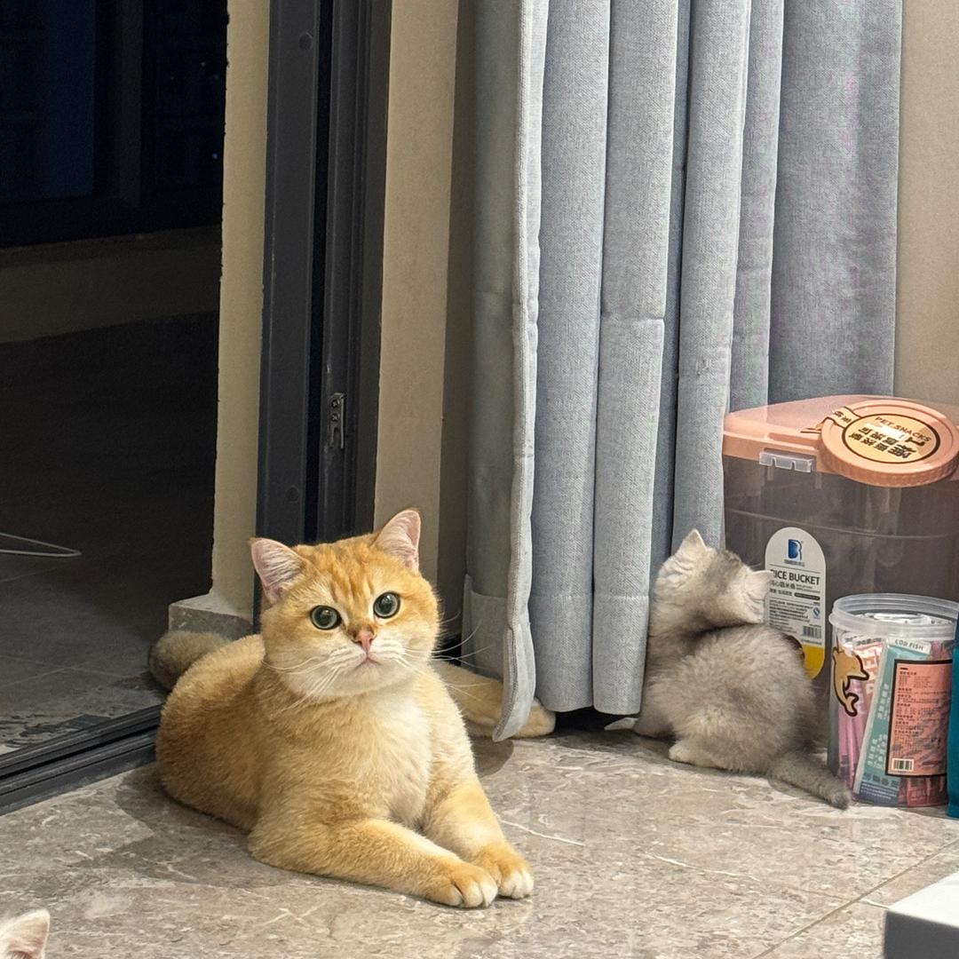 悦儿