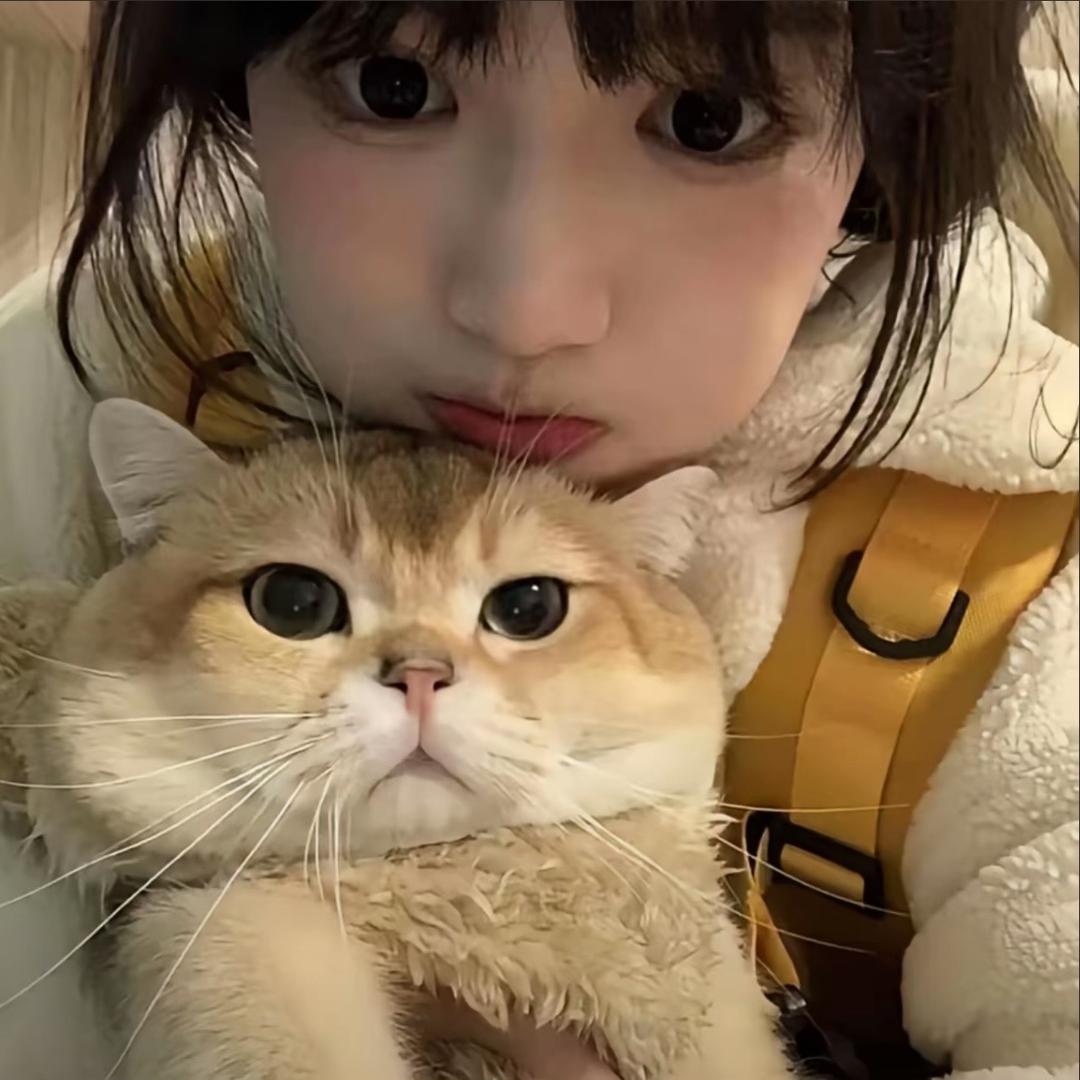 不吃香菜
