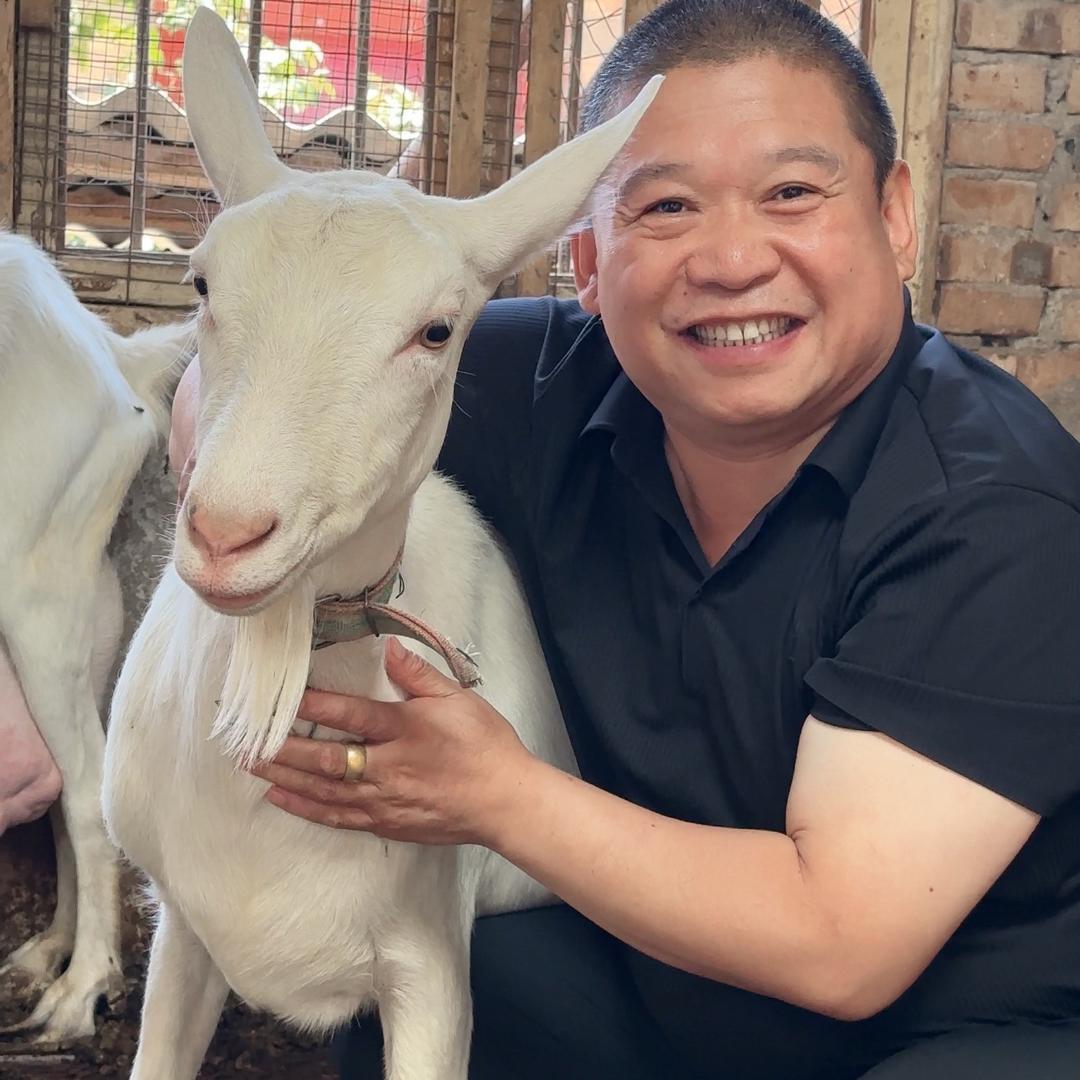 长虹羊肉