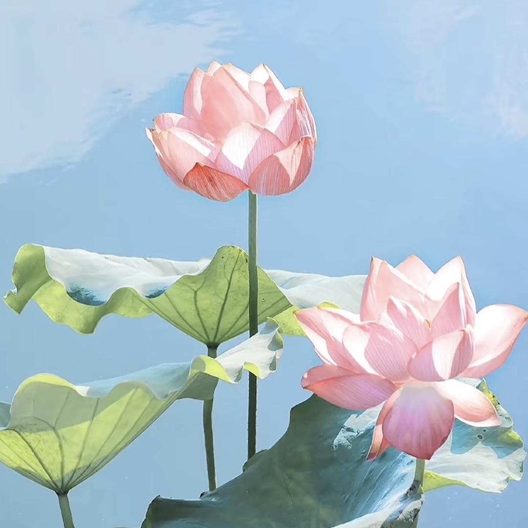 汇泽日化