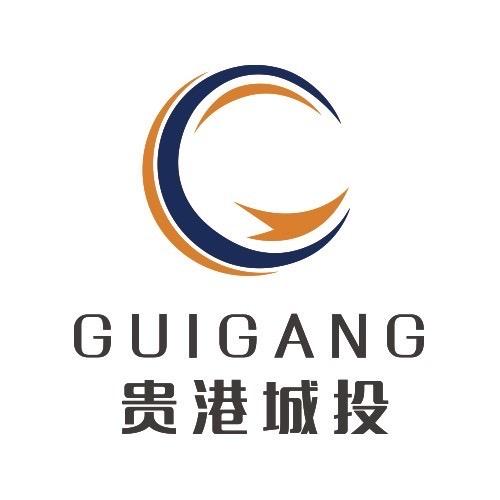 贵港城投-AI数字营销