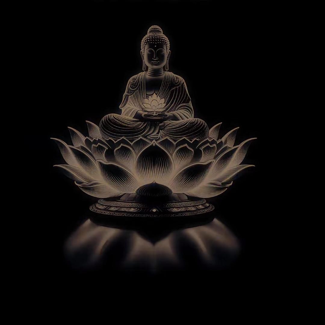 不喝冰美式：