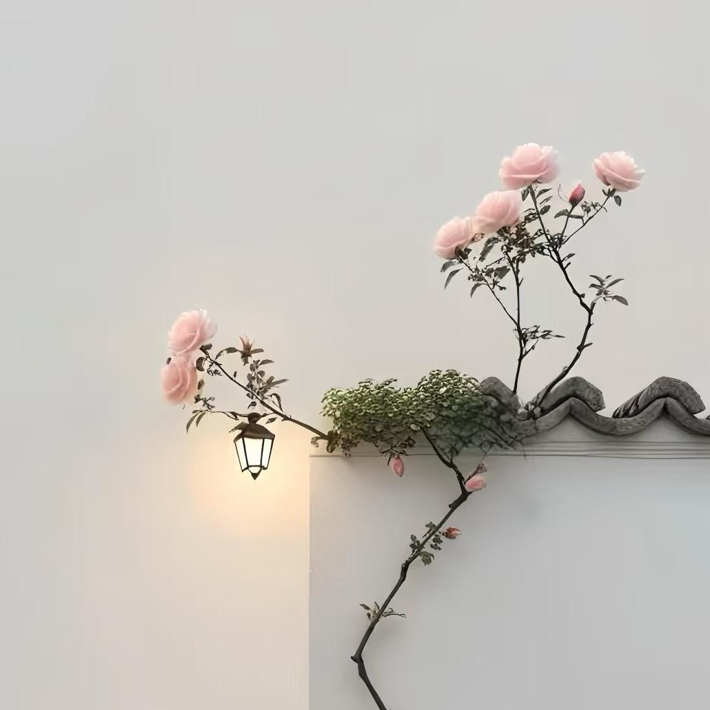 两杯·Two Cups