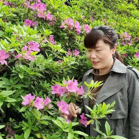 秋芳餐馆官方号