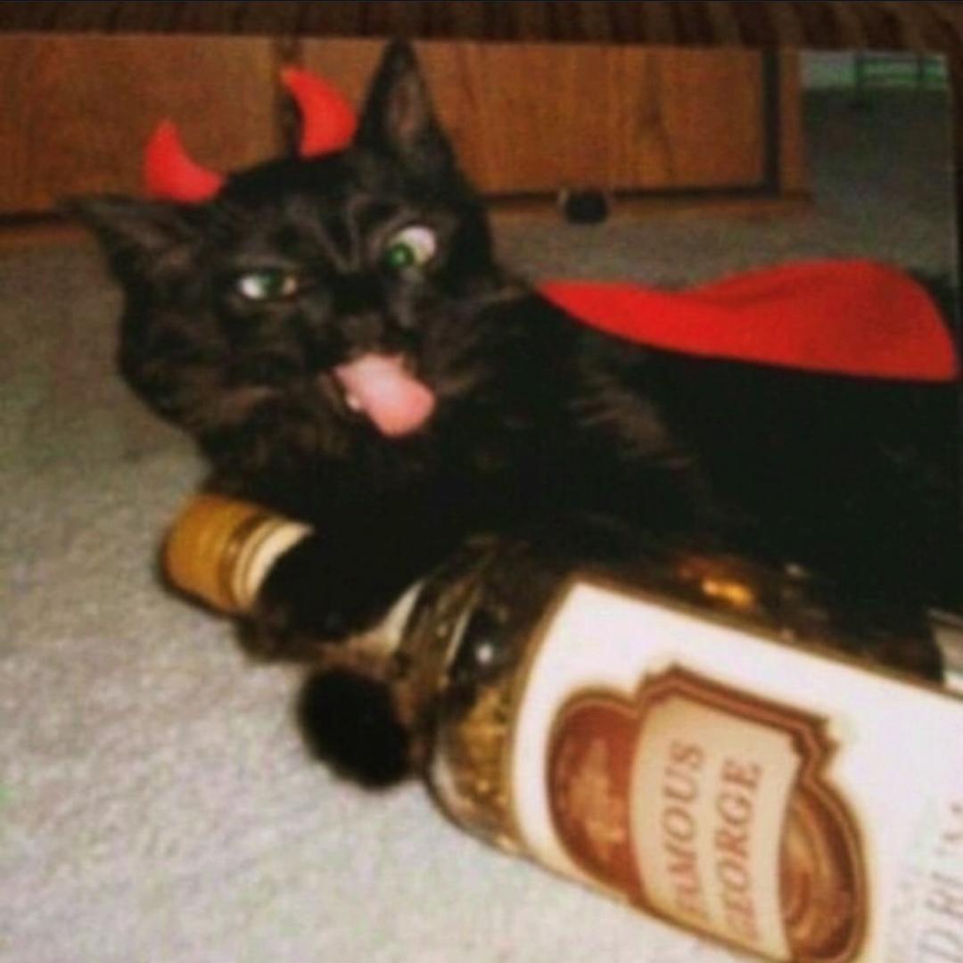 请问龙虾是虾吗