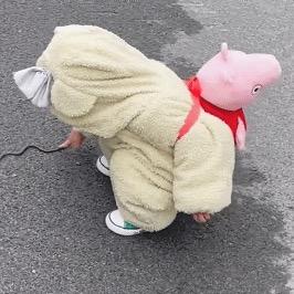 蛋壳