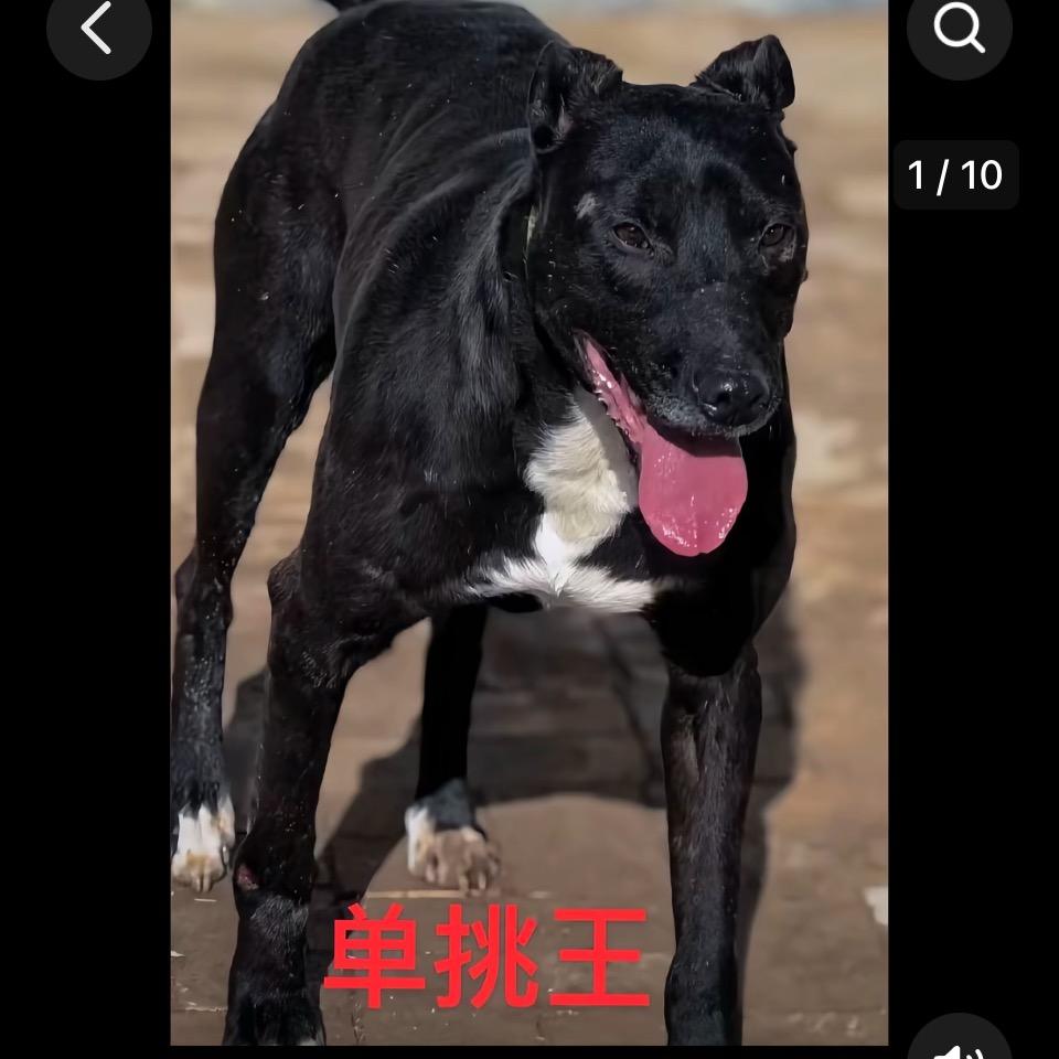 醉酒后的孤独