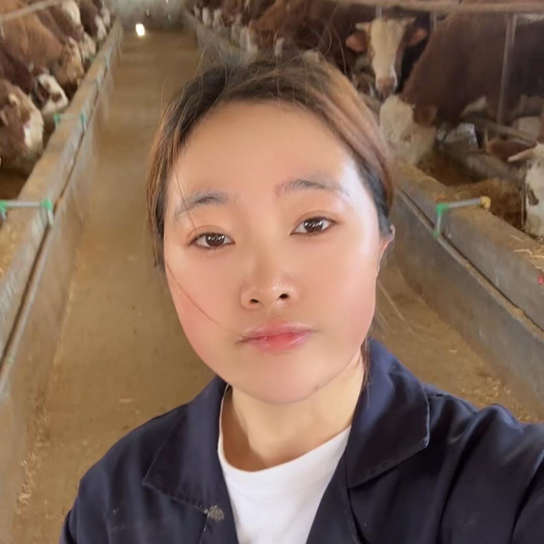 养牛的艳子