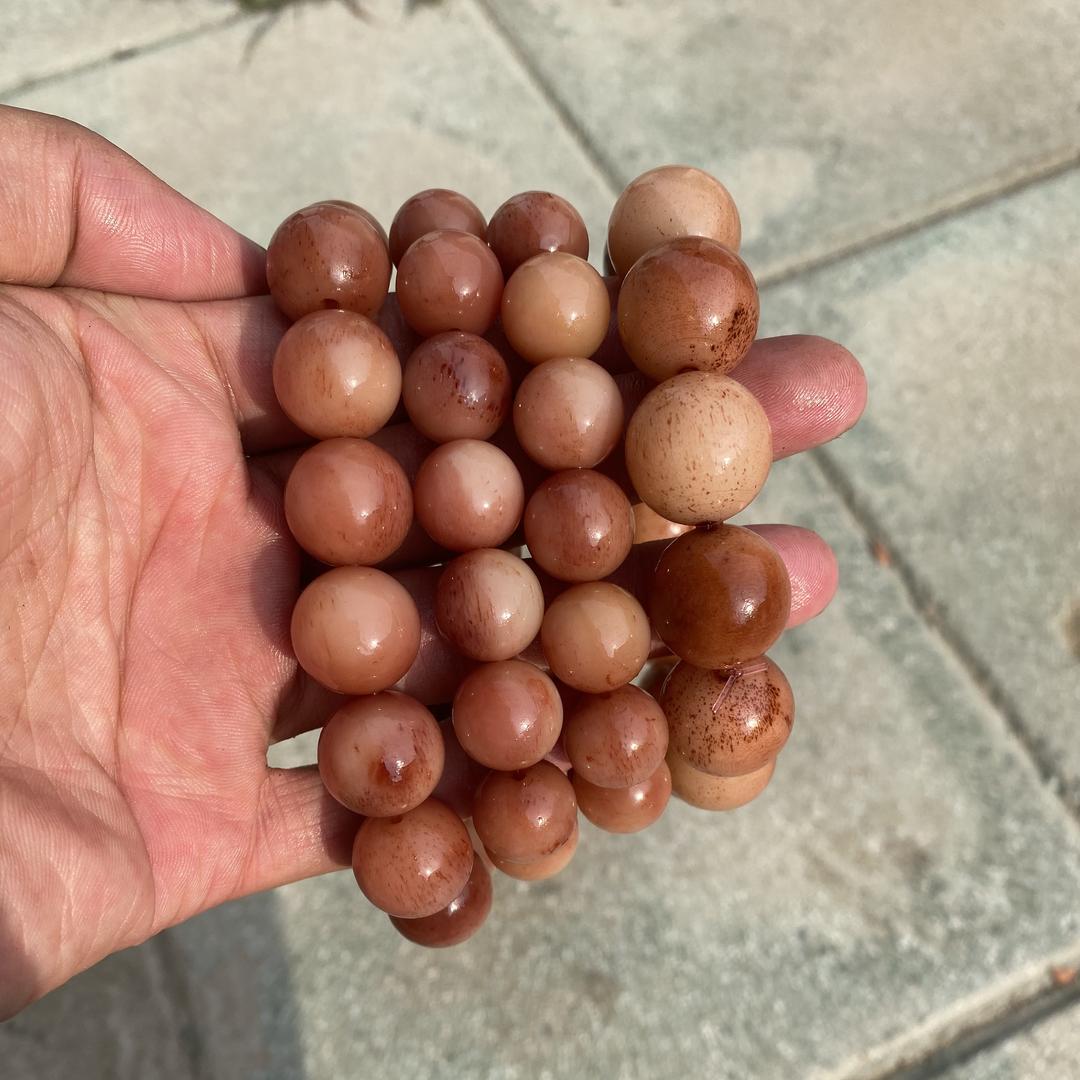 启承骨艺