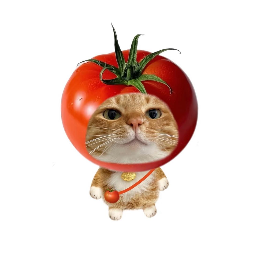 綿綿