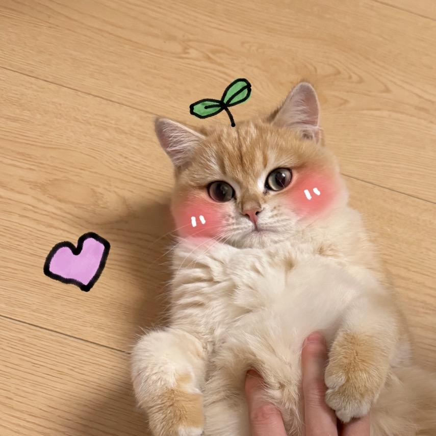 AAA武汉小吃世家