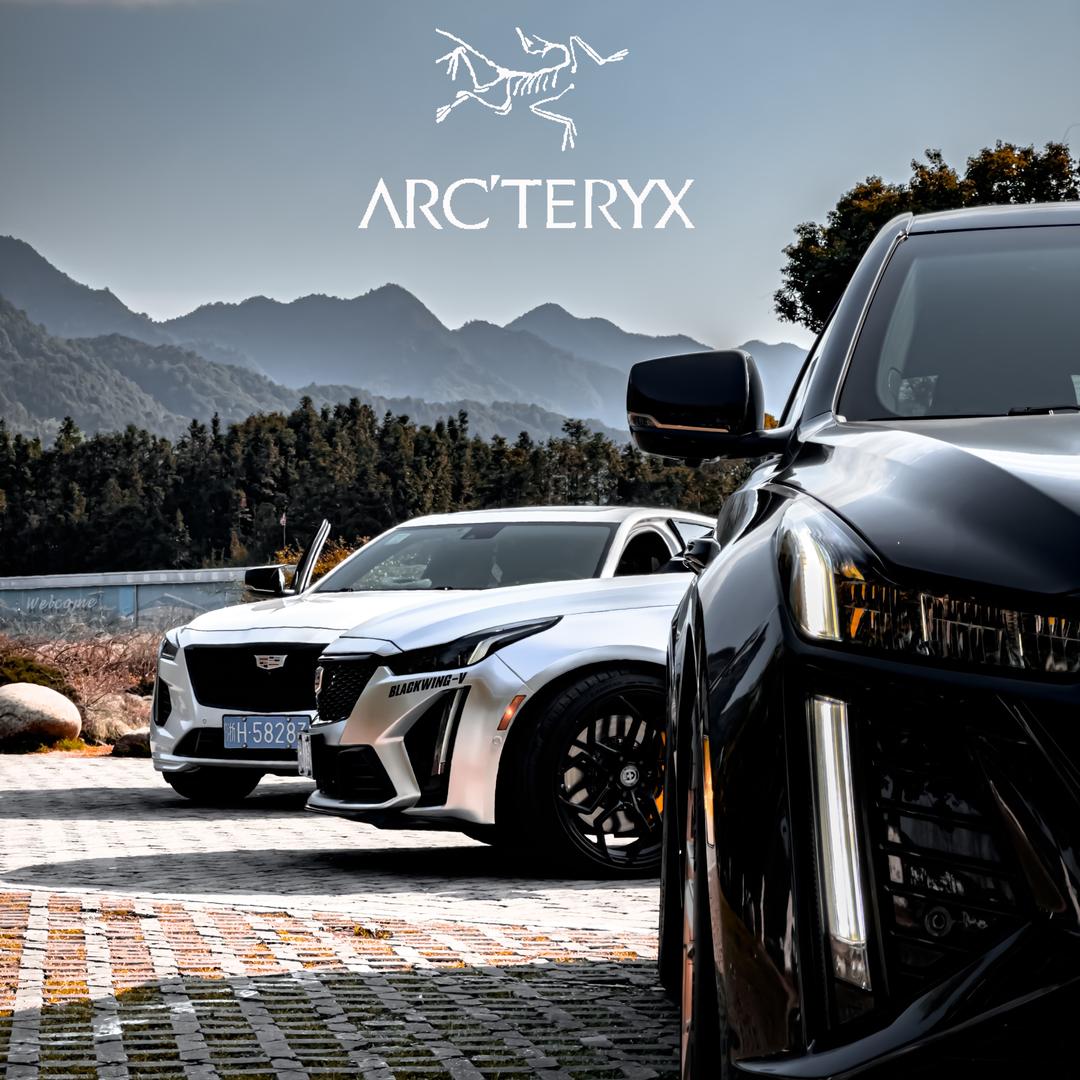 喝不起98#的CT5📷