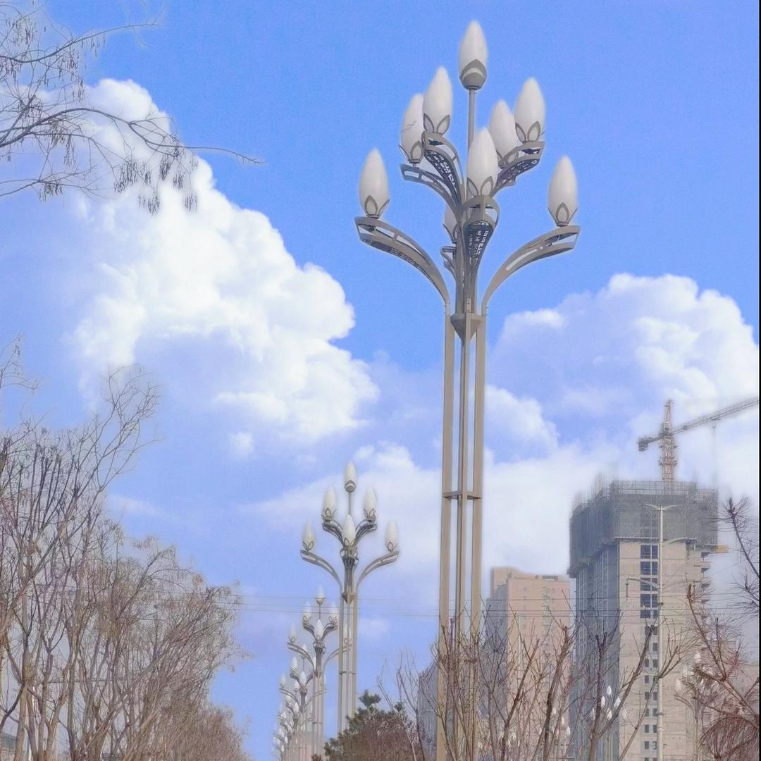 西安路灯厂家-亚联