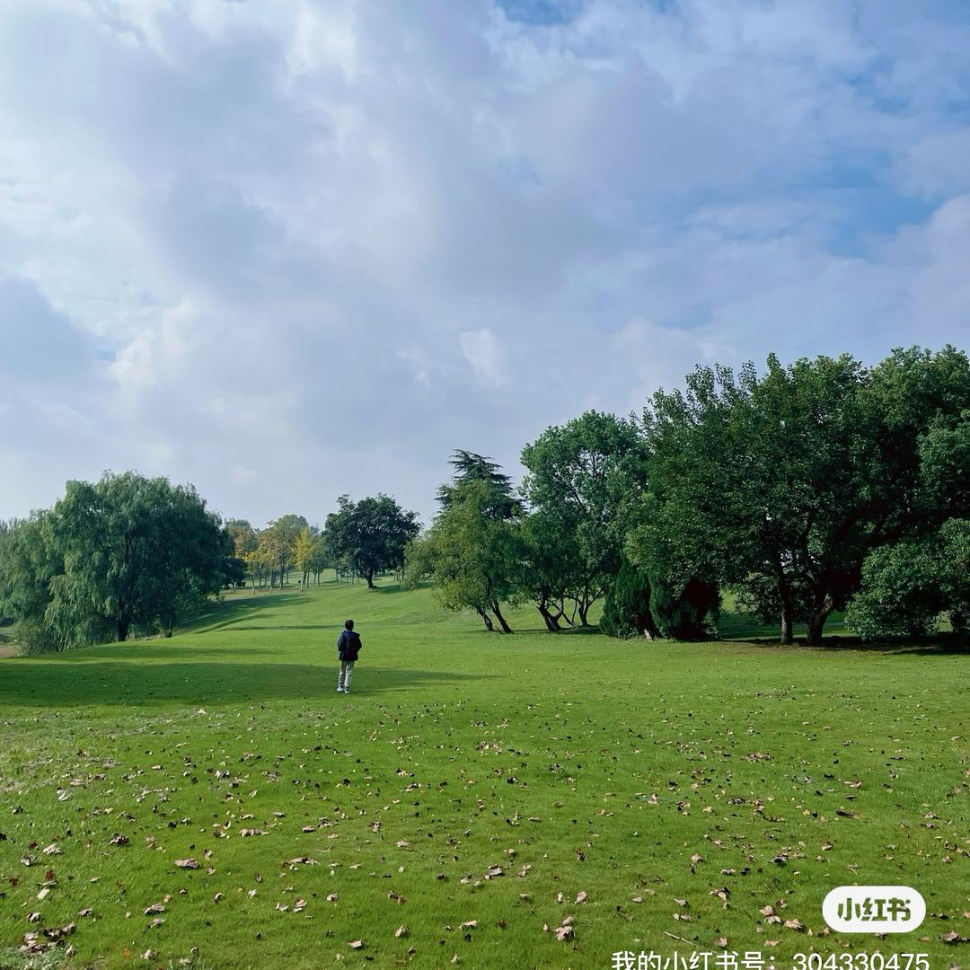 🌈不慌不慌来日方长🌈