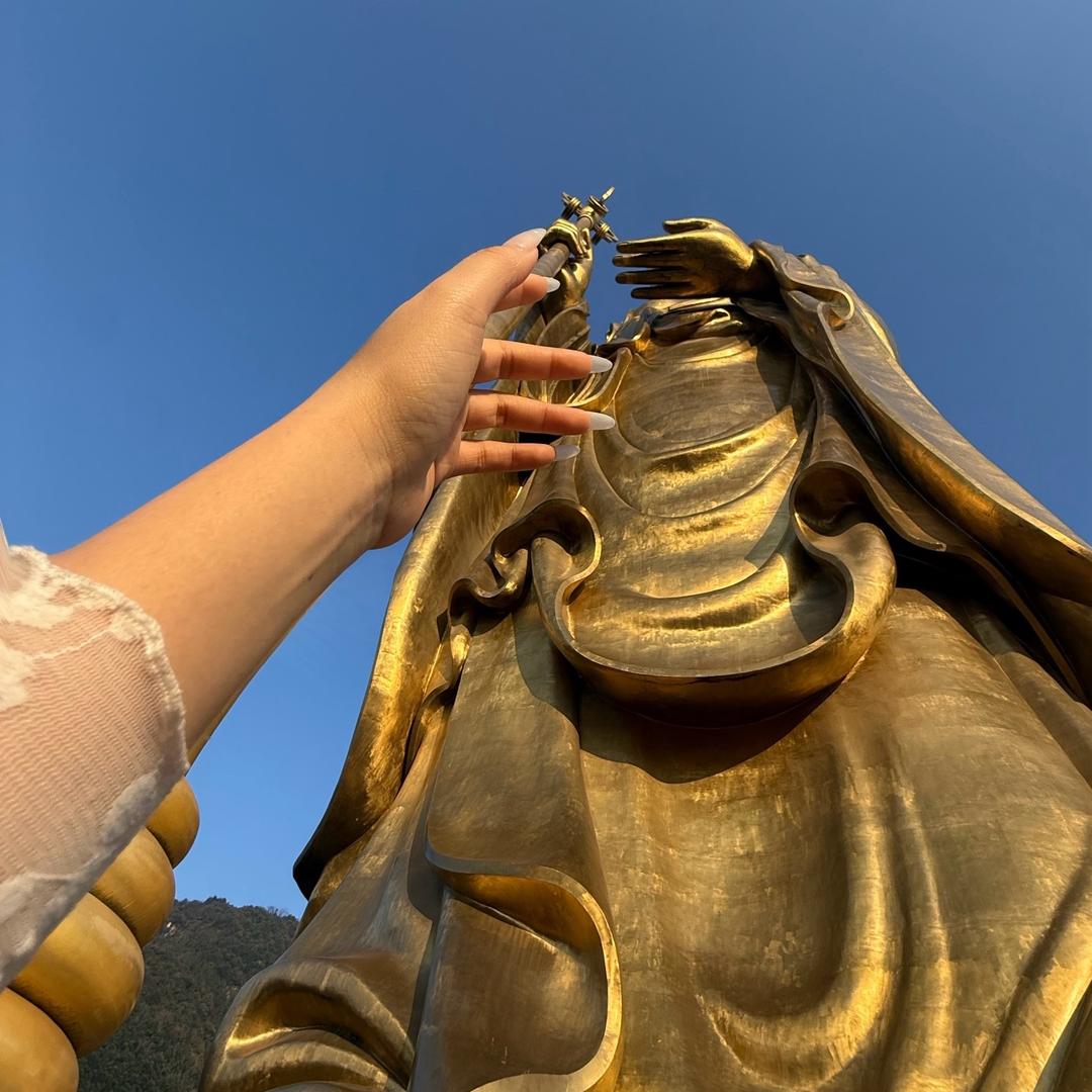 菩提树下客.📿