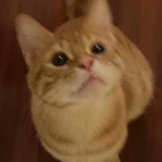 每天都想吃东西