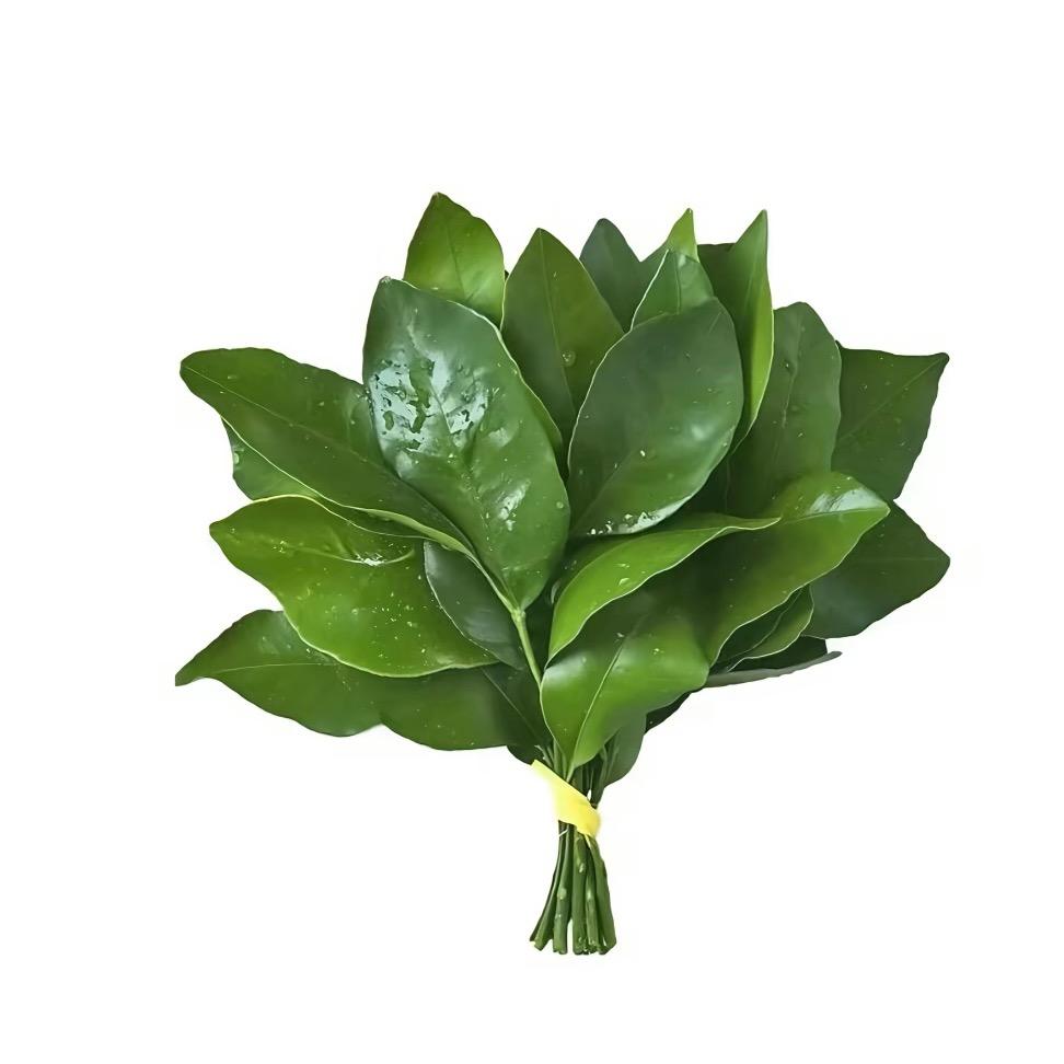 啦啦