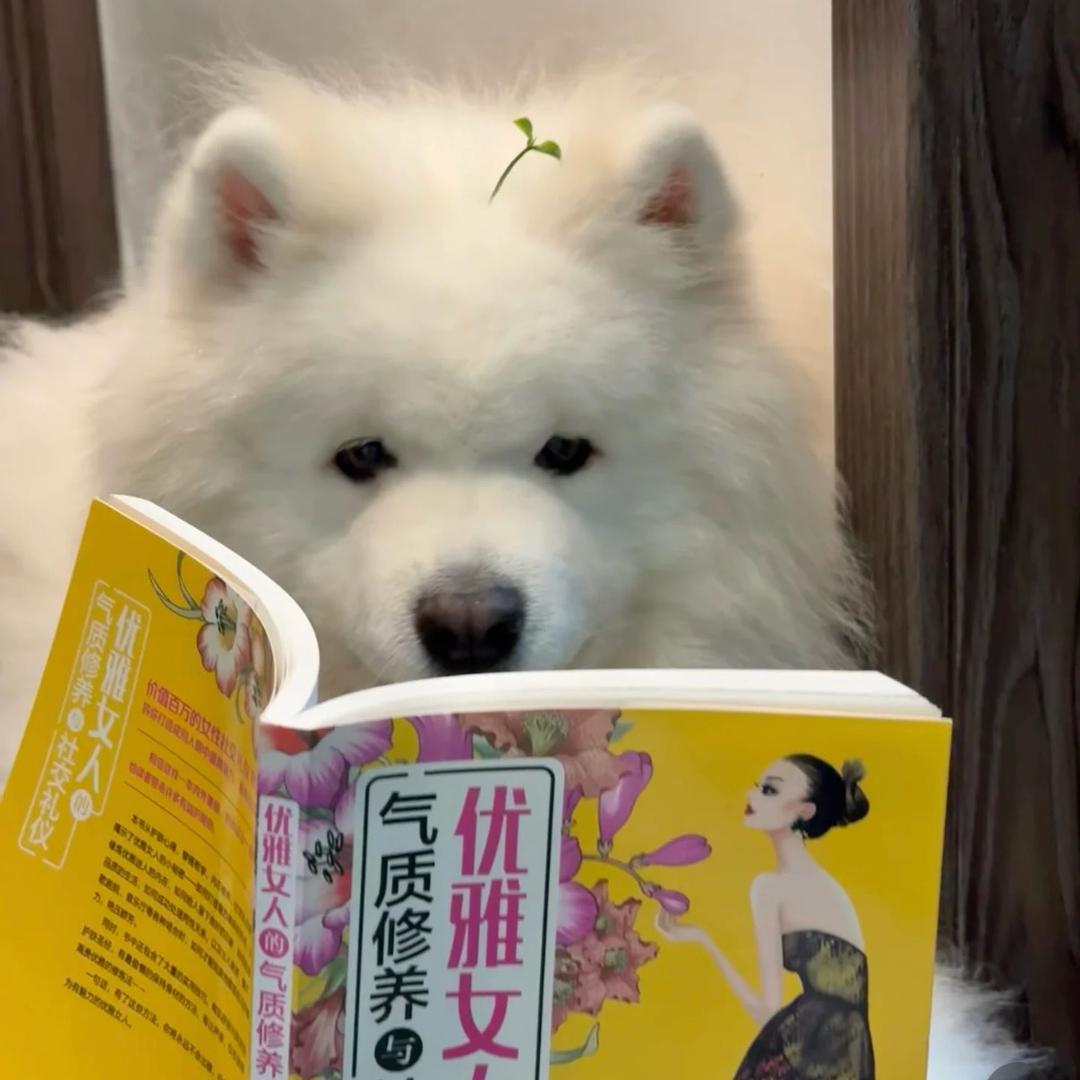 用拖把洗澡