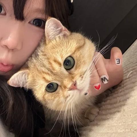 笨蛋总是掉眼泪