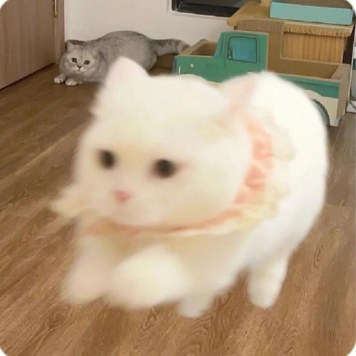 无敌小发