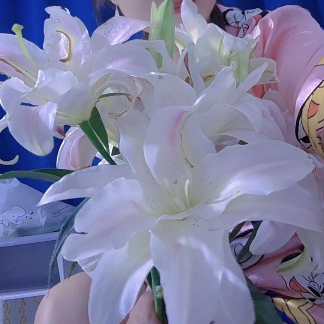 百合之恋