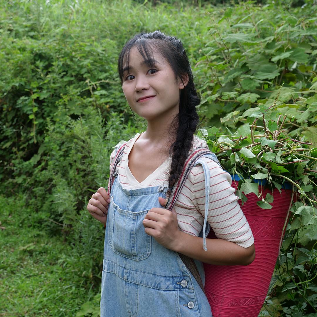 小树树