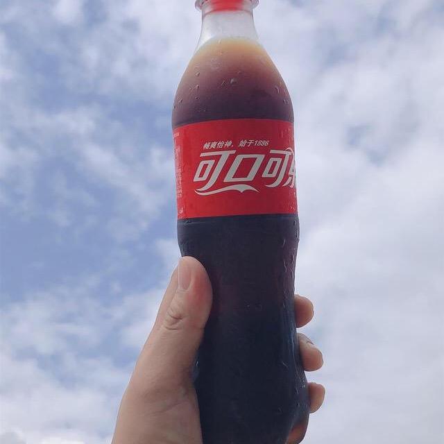 扶摇直上