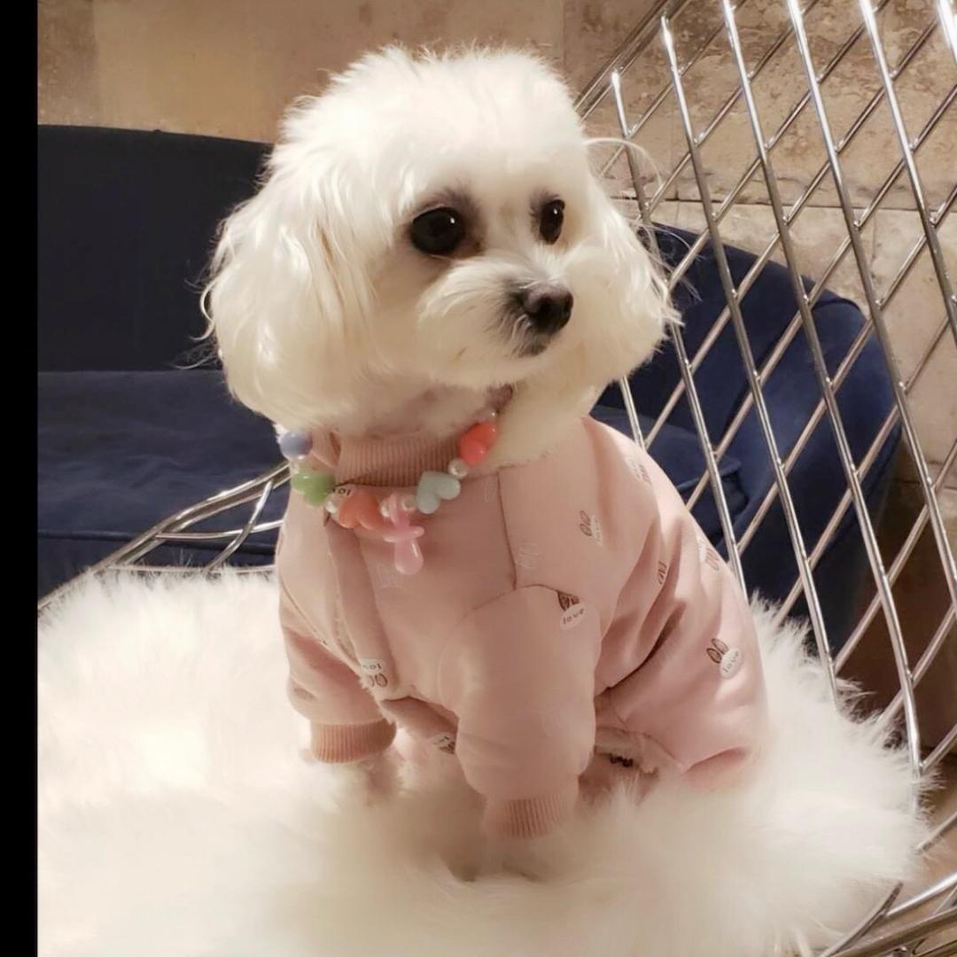 闹闹