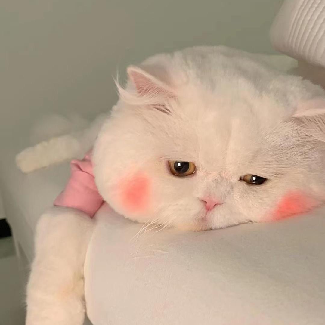 花朵儿⁹²³⁷