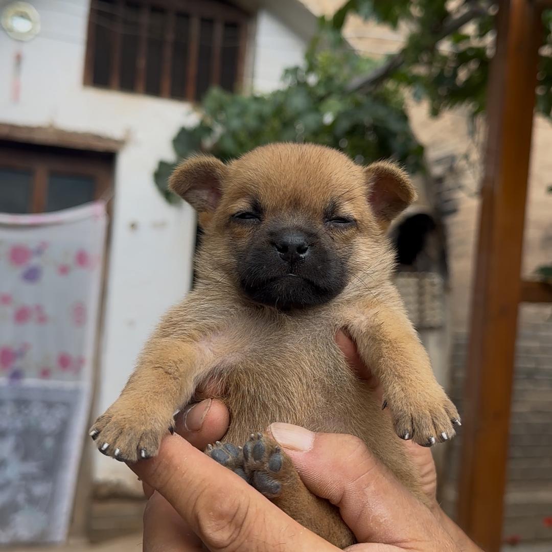 爷爷的小福宝呀。