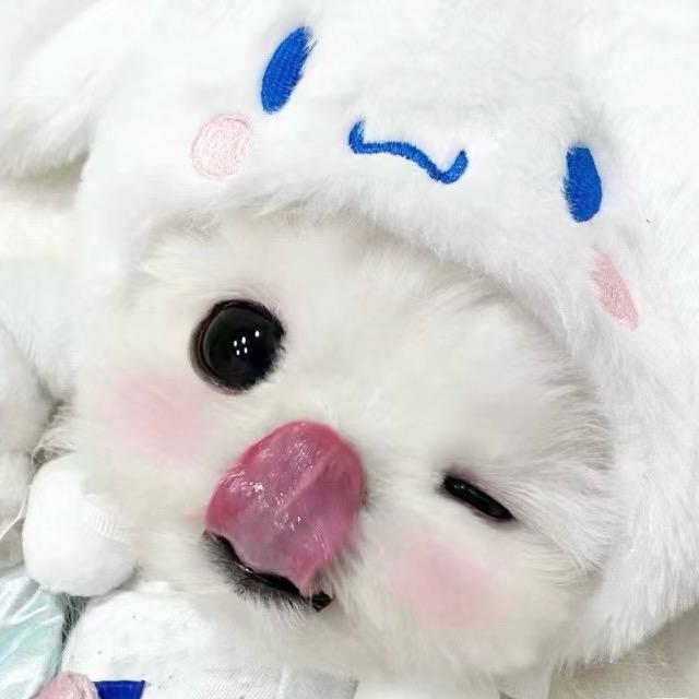 真的不饿