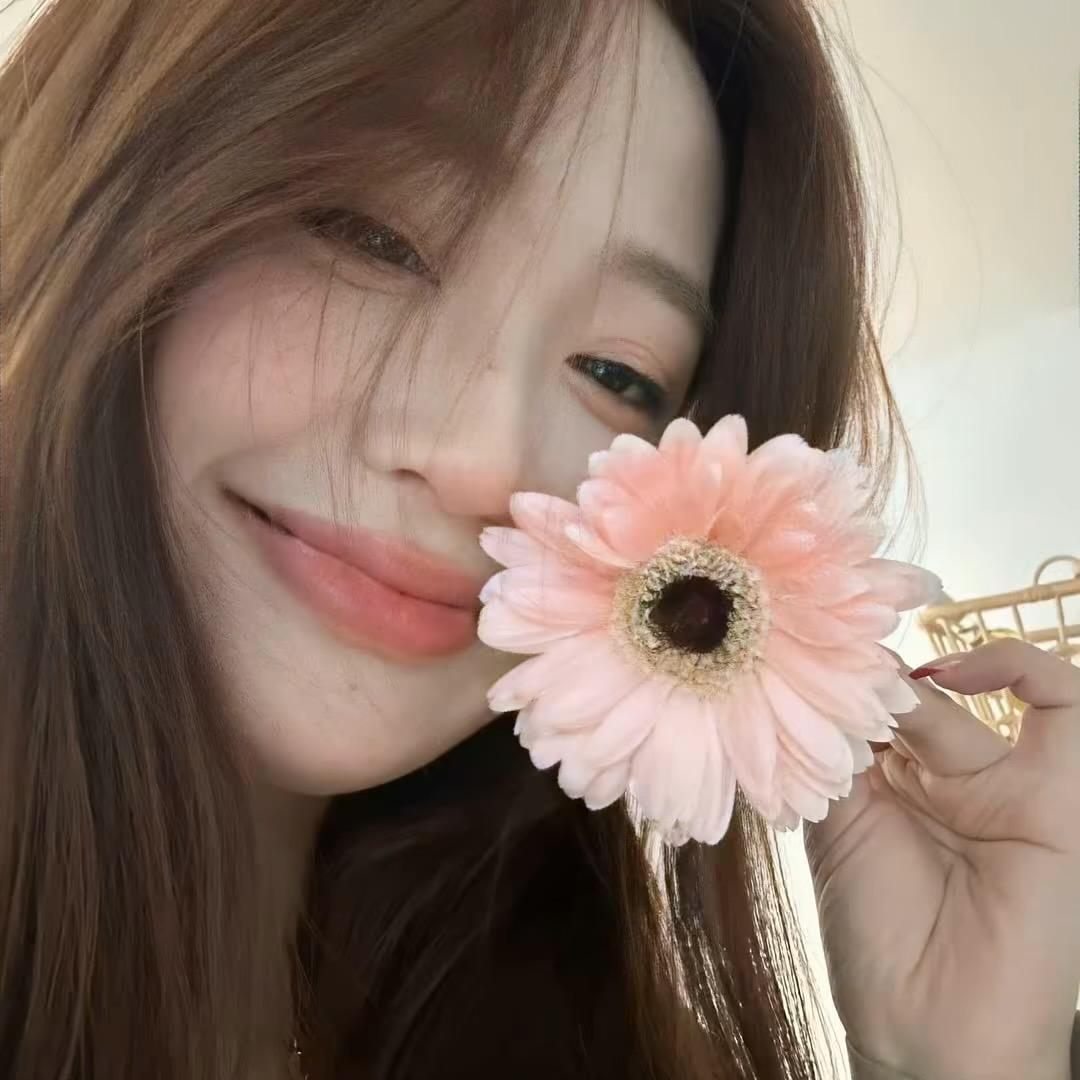 雏菊