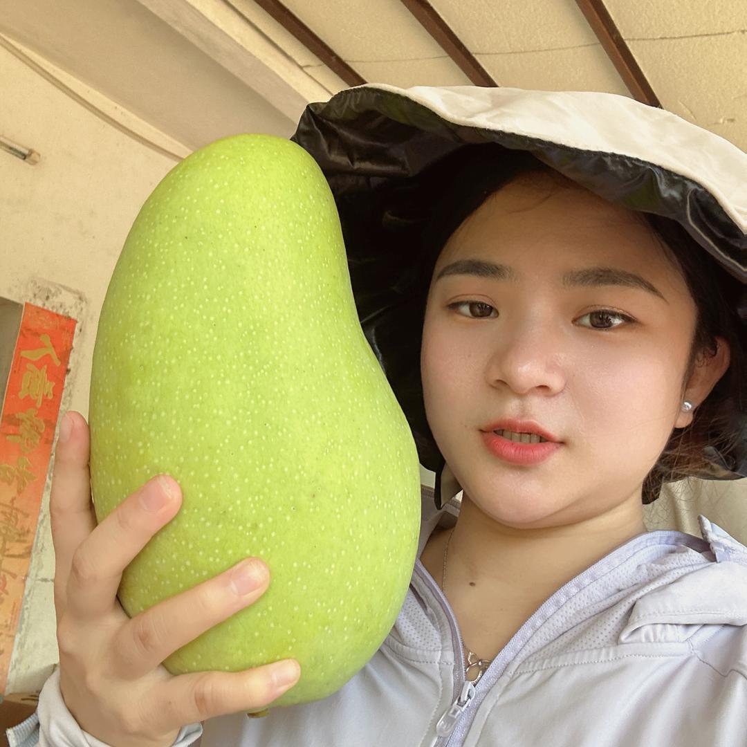 果甜园小雨菠萝蜜