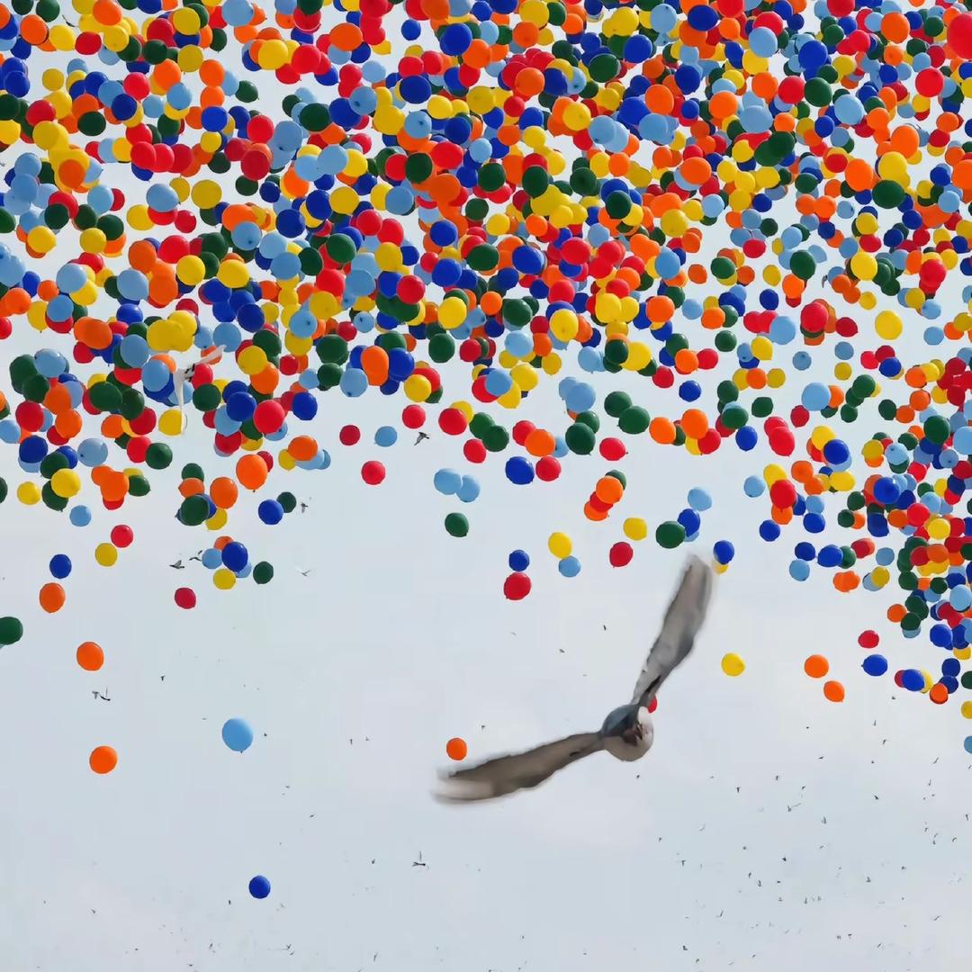 爱做饭的小蕊姐