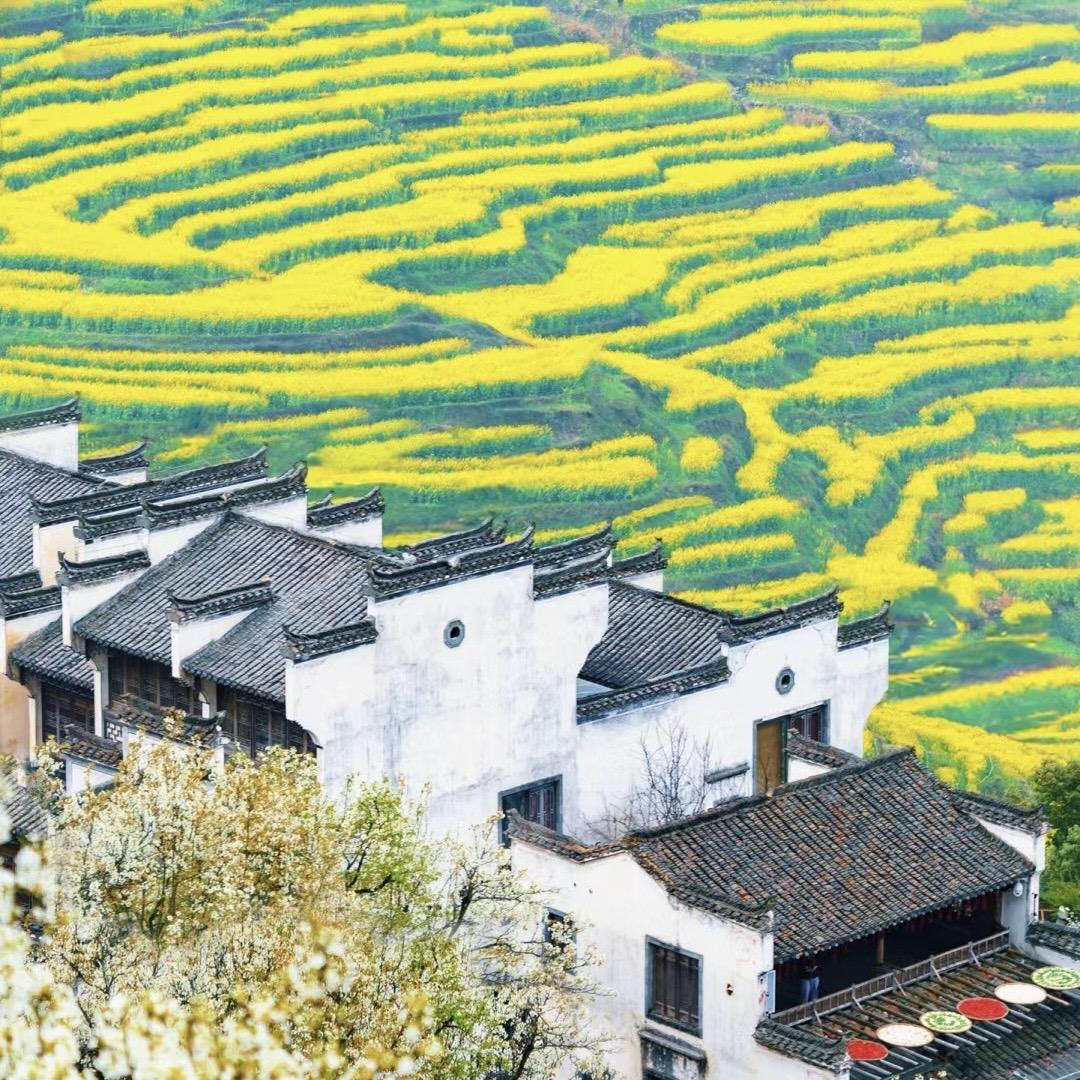 诚虹出行