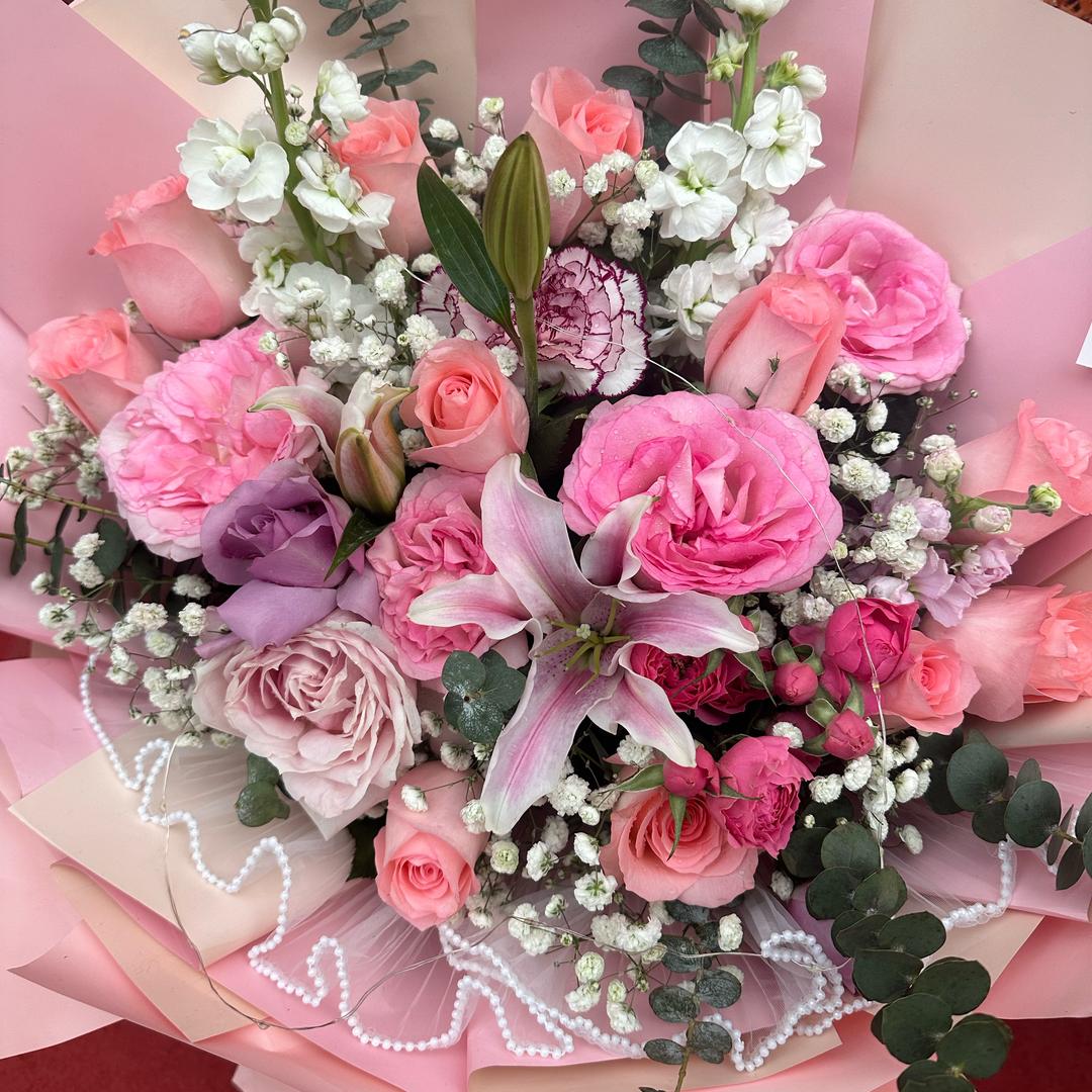 自由女神（小强团队）