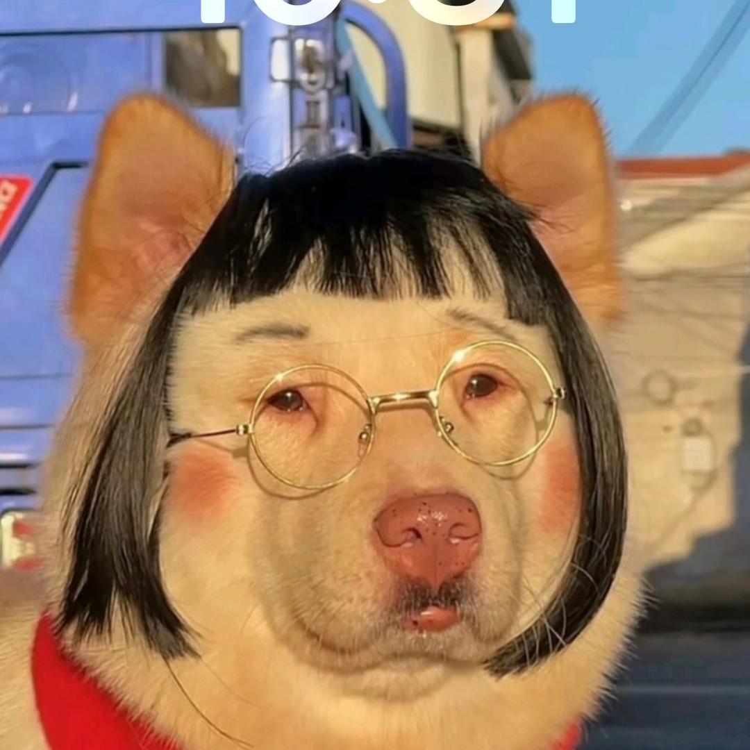 小王子.