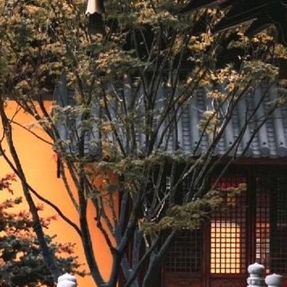 静涵🌍