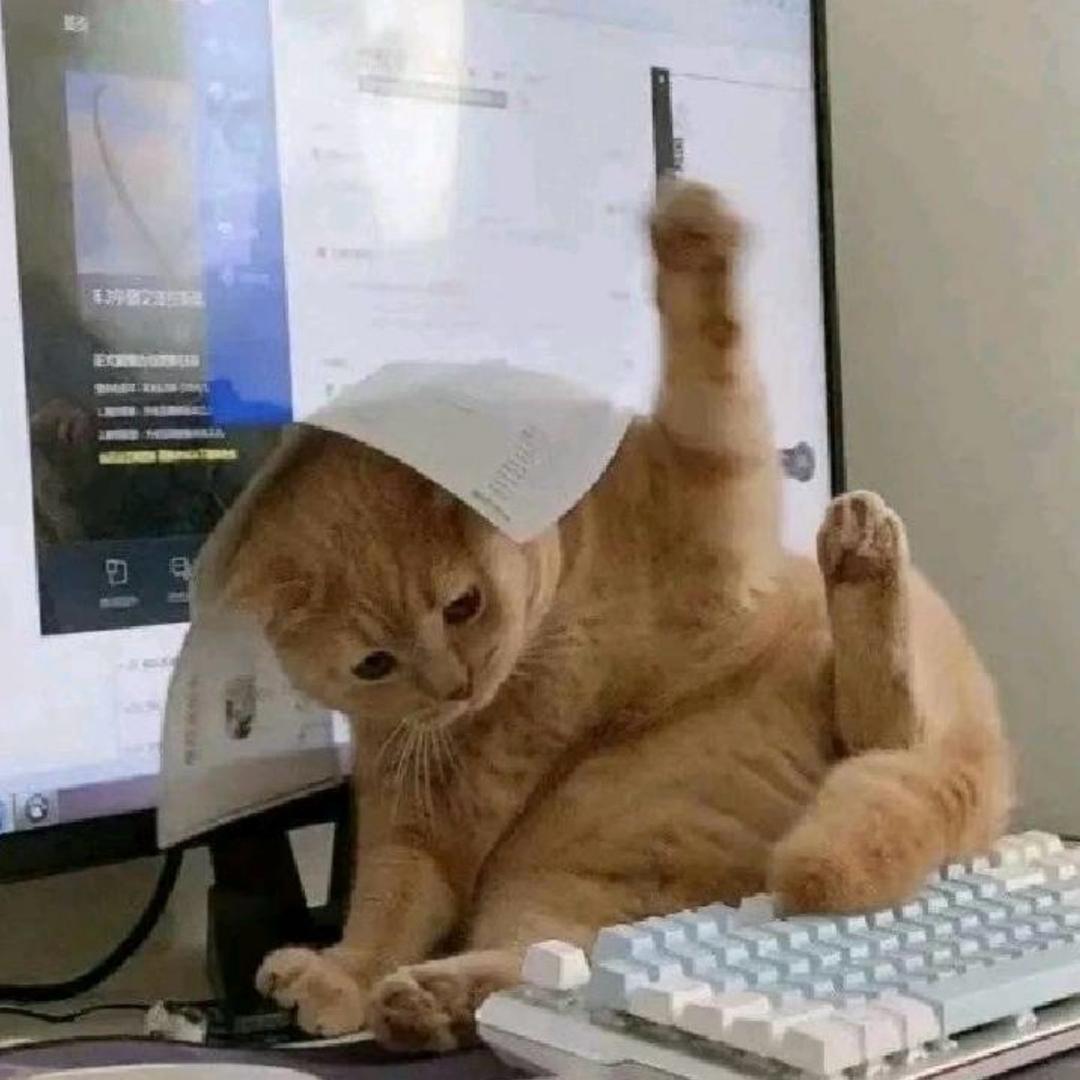 茶兰秋