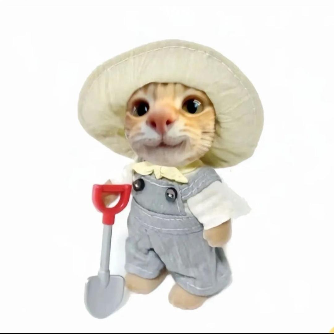 愤怒的农村人