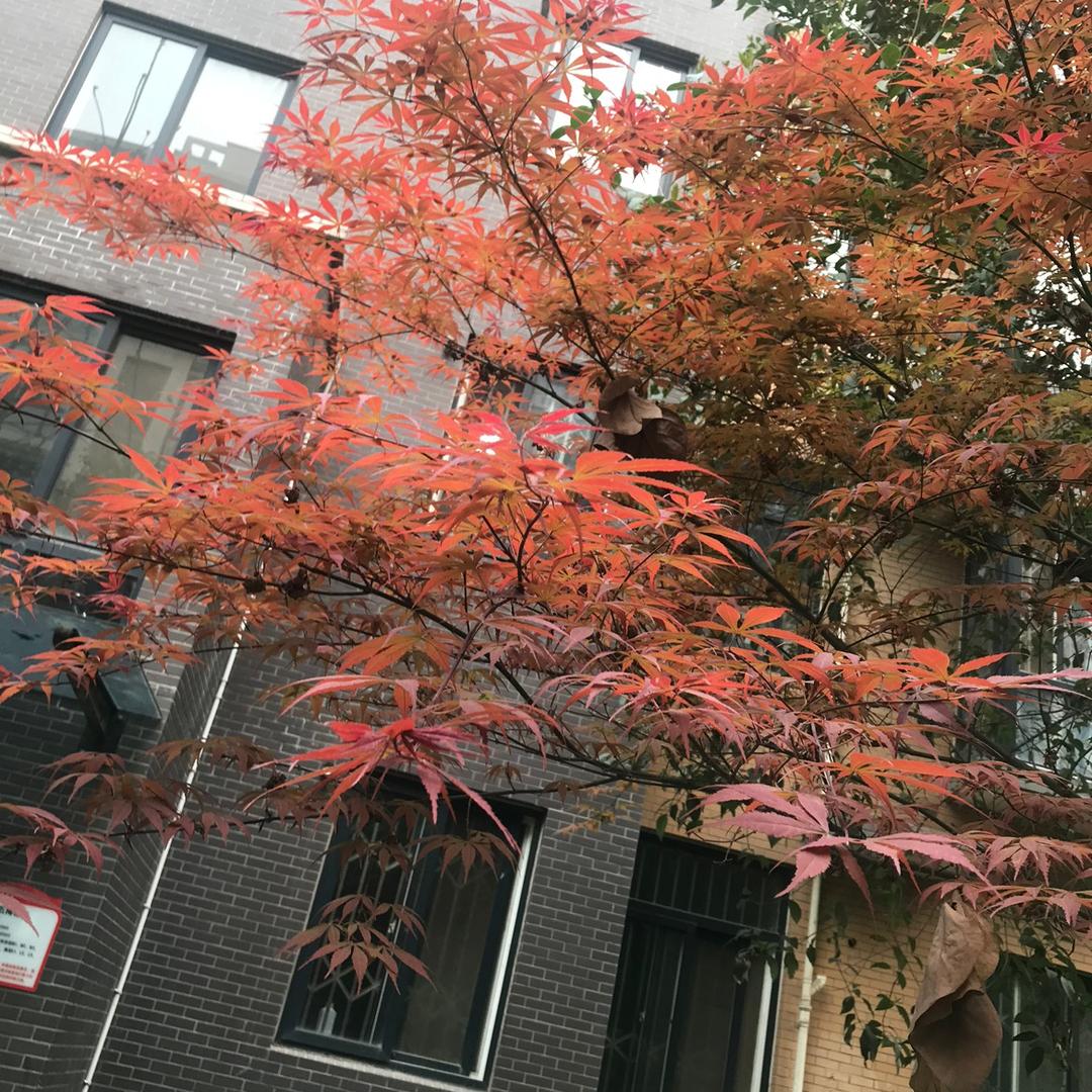平等公平